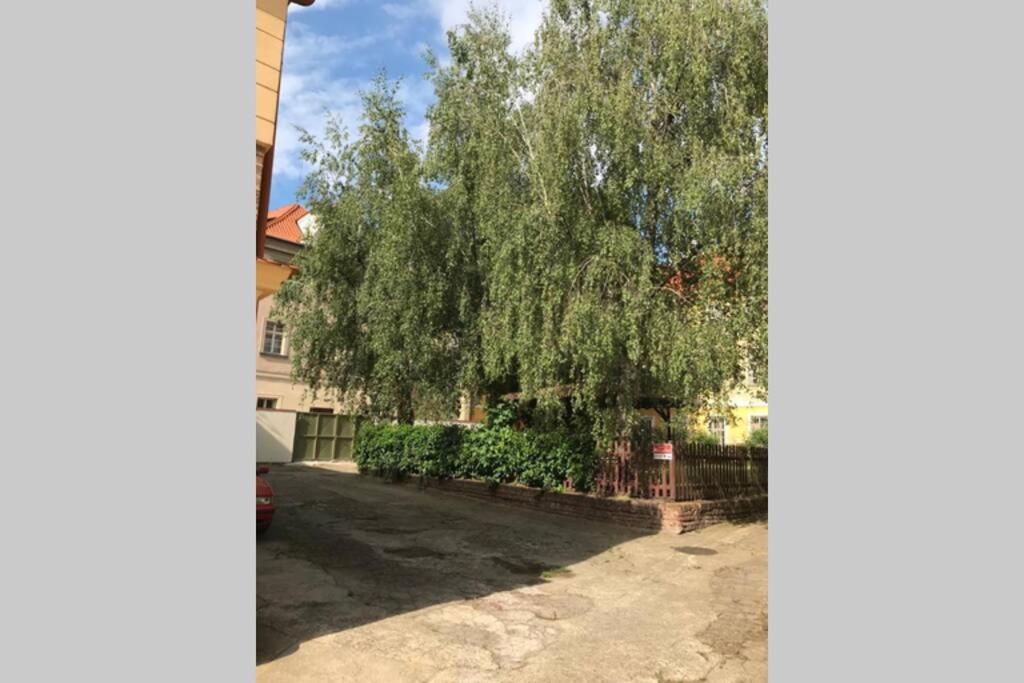 Rose Apartments / Romantic & Cozy / City Center Prague Exterior photo