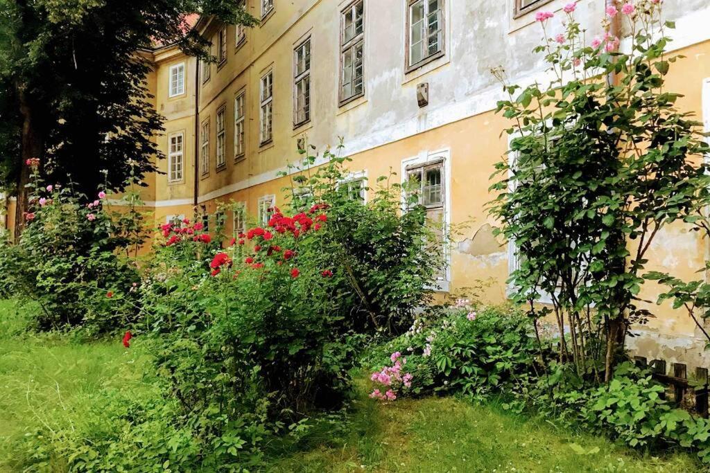 Rose Apartments / Romantic & Cozy / City Center Prague Exterior photo